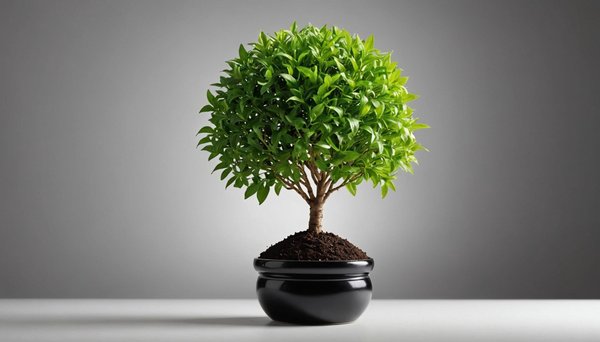 Décret tertiaire valeur absolue III : vers une énergie plus verte